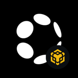 DOT.BEP20